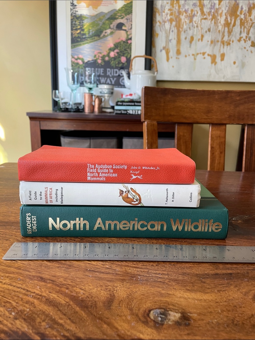 3 Vintage Animals Books: North American Wildlife, Field Guide, Mammals of Africa